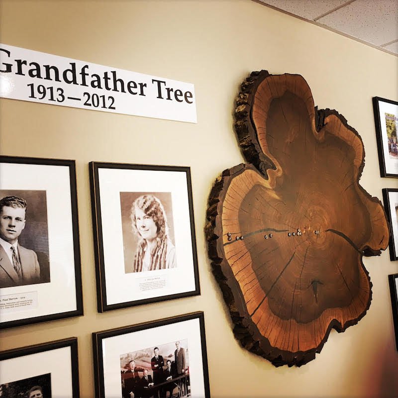 Barton Ranch Walnuts