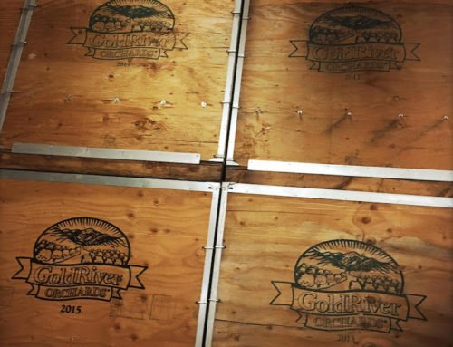 Down On The (Walnut) Farm