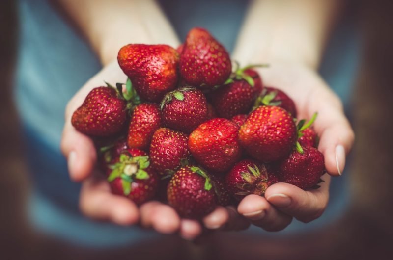 Summer Produce: Close up photo of someone holding out a pile of bright red strawberries in their hands, against a blurred backdrop of their blue t-shirt and denim shorts