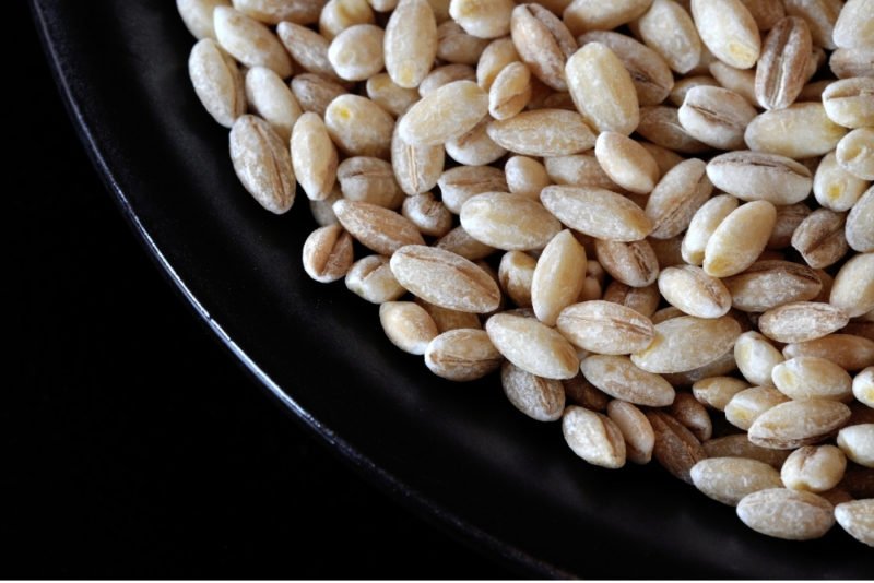 On of the benefits of eating barley is that it has a wonderful chewy texture. Close-up photo of barley grains in a black bowl on a black surface.