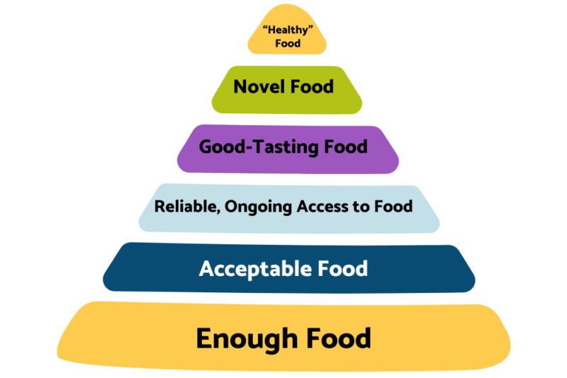 Pyramid with six levels. From bottom to top, the levels are: enough food, acceptable food, reliable ongoing access to food, good-tasting food, novel food, and "healthy" food